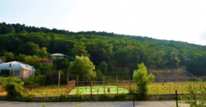  Surami Resort  Сурами